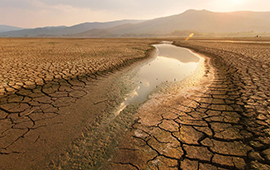 Partió COP29 sobre cambio climático: financiamiento y cierre de brecha de emisiones serán claves