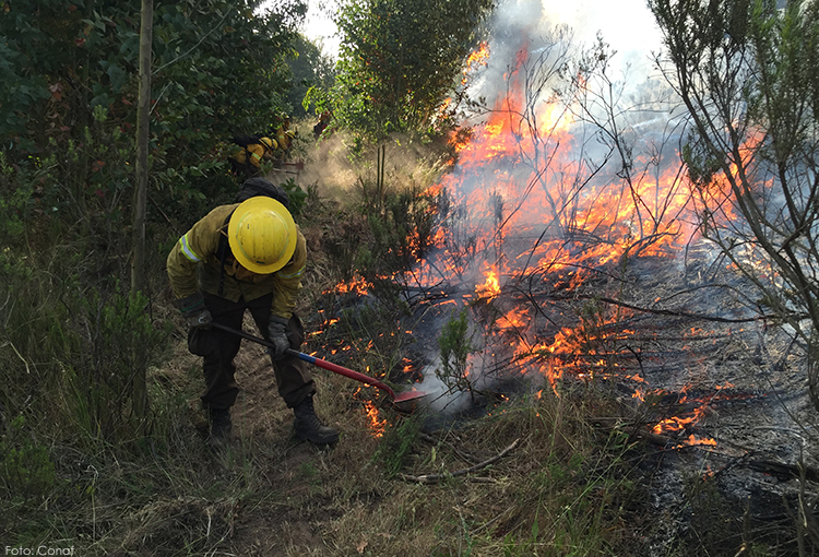 Llaman a extremar precauciones por intenso calor y riesgo inminente de incendios forestales