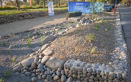 Jardín de lluvia en Peñalolén: el área verde pionera en Chile que busca mitigar inundaciones