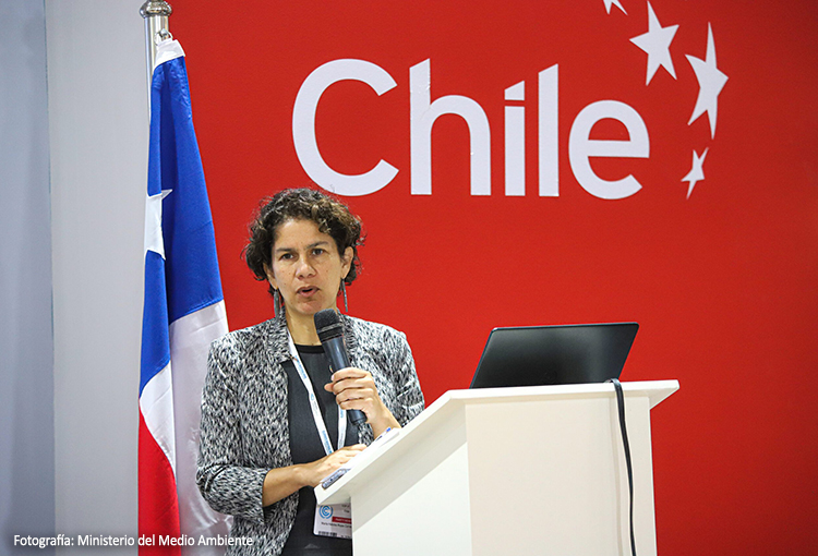 Ministra Maisa Rojas será Champion en la COP 16 sobre Biodiversidad 