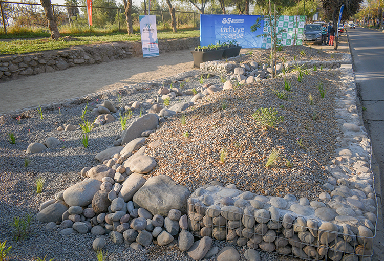 Jardín de lluvia en Peñalolén: el área verde pionera en Chile que busca mitigar inundaciones