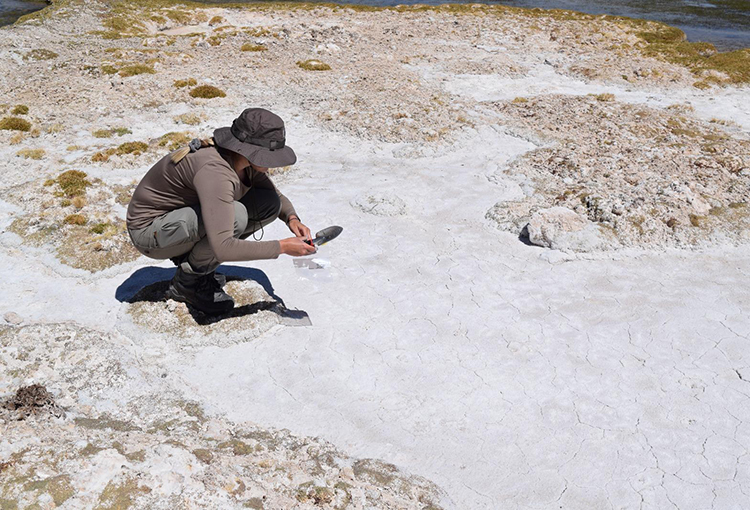 Descubren microorganismos en el desierto de Atacama que proliferan en condiciones extremas