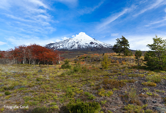 Chilenos desarrollan modelo para detectar volcanes con mayor potencial geotérmico