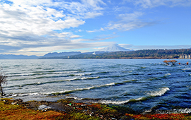 Aprueban primer plan de descontaminación para un ecosistema acuático: el del lago Villarrica