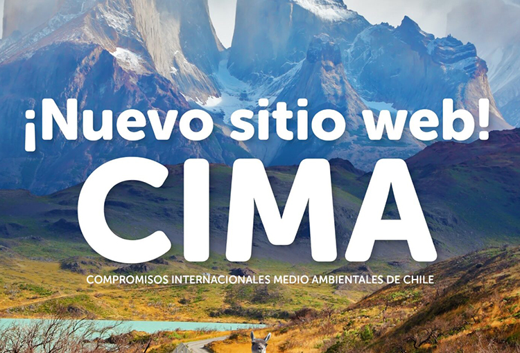 Lanzan portal con los compromisos internacionales sobre medio ambiente de Chile