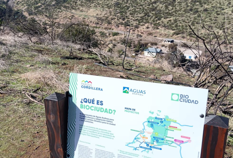 Innovadora iniciativa permite infiltrar y almacenar aguas lluvias en parque Aguas de Ramón