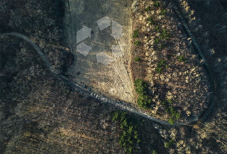 Plantean desafíos y soluciones para descontaminar los suelos en riesgo en Chile