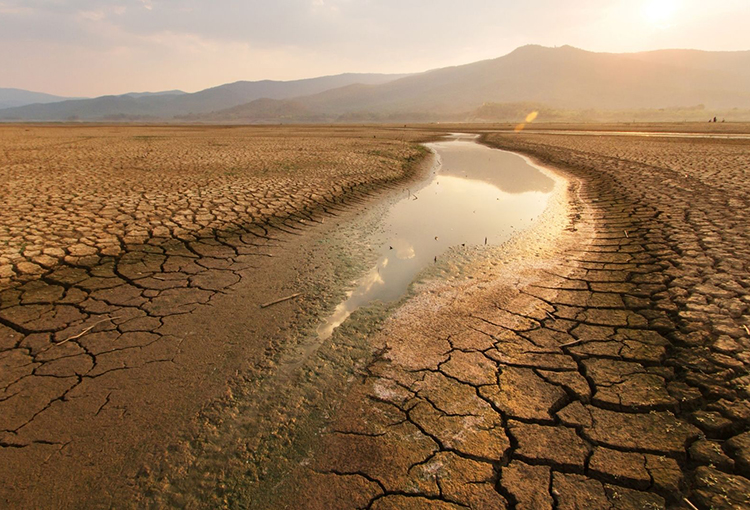 Partió COP29 sobre cambio climático: financiamiento y cierre de brecha de emisiones serán claves