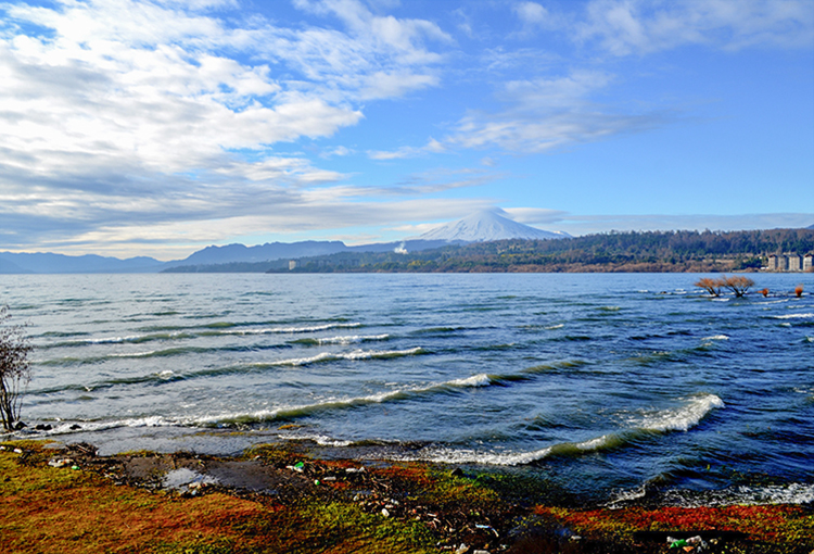 Aprueban primer plan de descontaminación para un ecosistema acuático: el del lago Villarrica