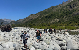 Actores territoriales protagonizaron programa para la regeneración ecosistémica en Linares