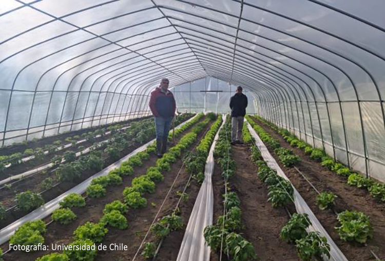 Impulsan innovador proyecto de geotermia para potenciar la agricultura en región del Ñuble