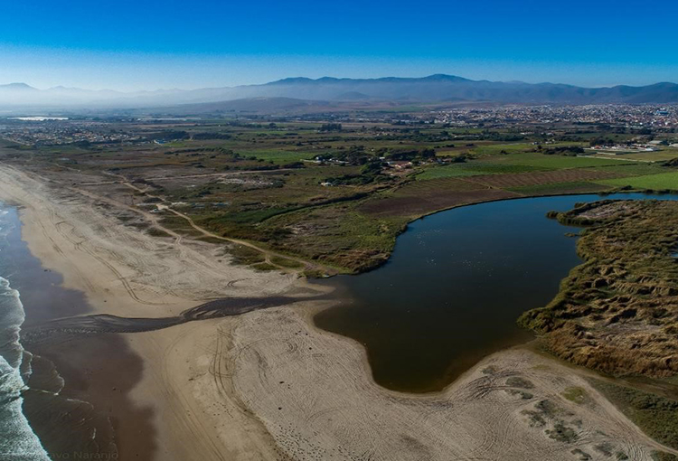 SISS investiga a Aguas del Valle por descarga de aguas servidas al humedal del río Elqui