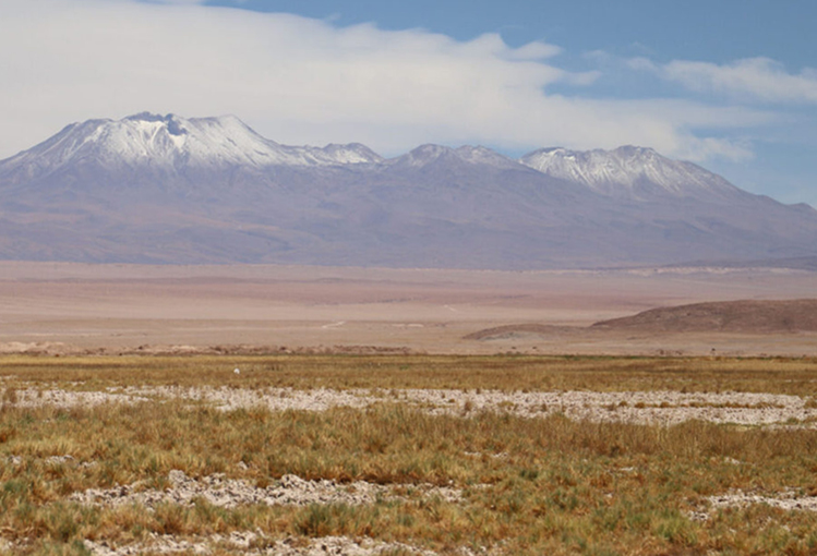 Rechazan reclamación de Escondida y confirman histórica multa por daño ambiental irreparable