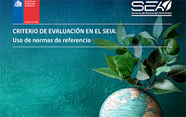 SEA publica documento técnico referido al uso de normas de referencia