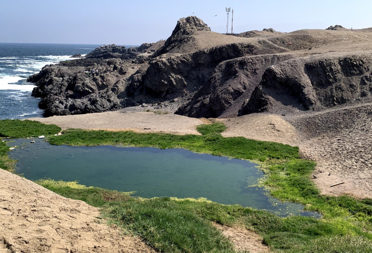 Corte de Apelaciones de Antofagasta prohíbe instalar ramadas aledañas al humedal La Chimba