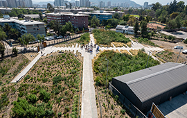 Bosque de bolsillo en Independencia reduce temperatura hasta en 20 °C en relación al pavimento