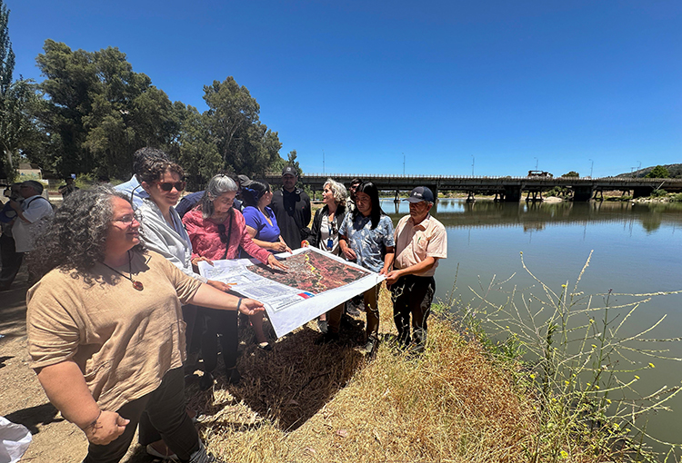 Cajón del río Claro y estero Piduco: primer humedal urbano en la comuna de Talca 