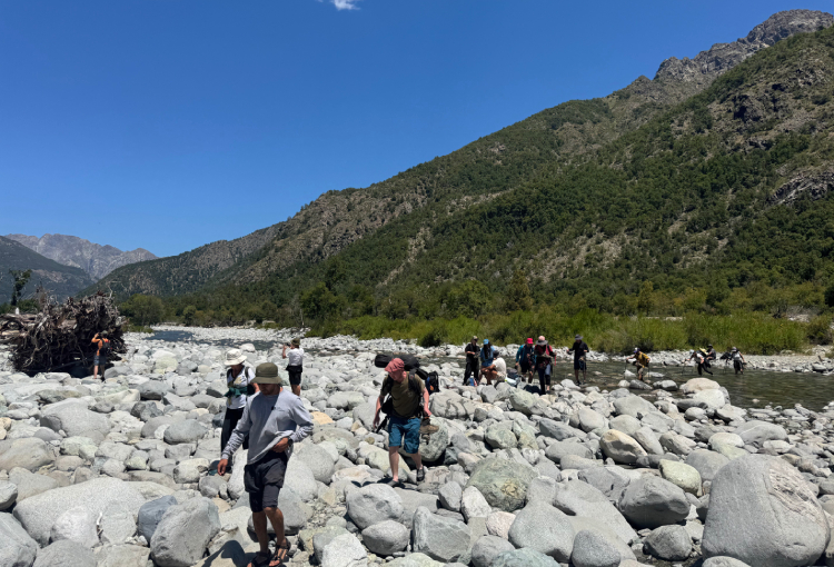 Actores territoriales protagonizaron programa para la regeneración ecosistémica en Linares